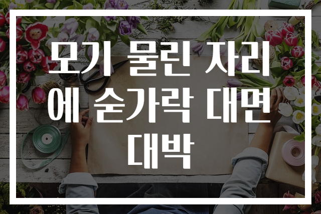 모기 물린 자리에 숟가락 대면 대박