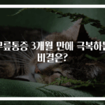 무릎통증 3개월 만에 극복하는 비결은?