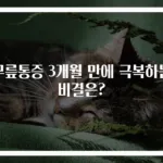 무릎통증 3개월 만에 극복하는 비결은?
