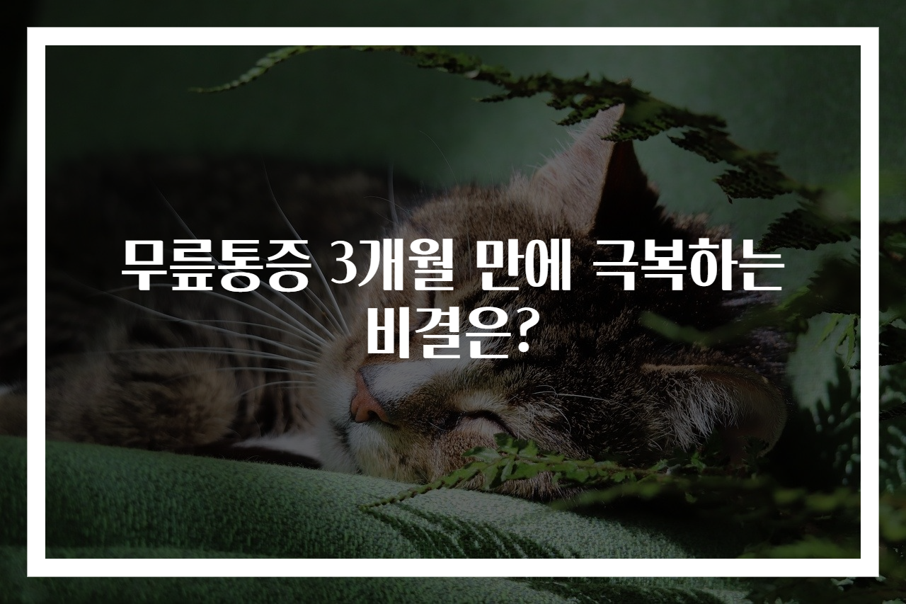 무릎통증 3개월 만에 극복하는 비결은?