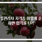 물류관리사 자격증 이렇게 준비하면 합격률 UP!