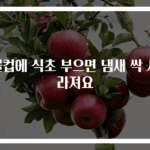 물컵에 식초 부으면 냄새 싹 사라져요