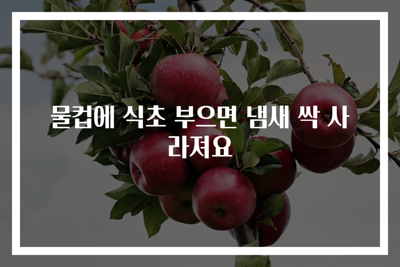 물컵에 식초 부으면 냄새 싹 사라져요