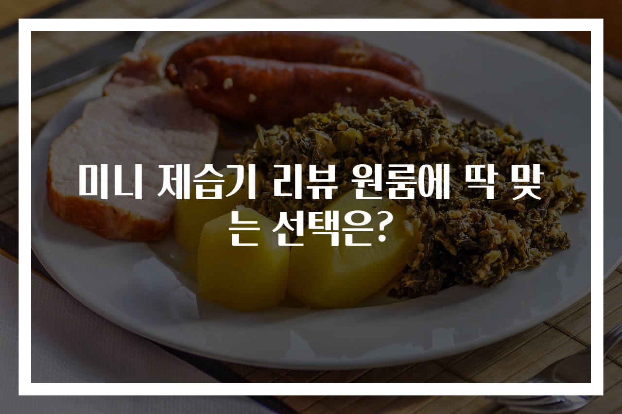 미니 제습기 리뷰 원룸에 딱 맞는 선택은?