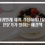 바퀴벌레 새끼 걱정하시나요? 전문가가 말하는 해결책