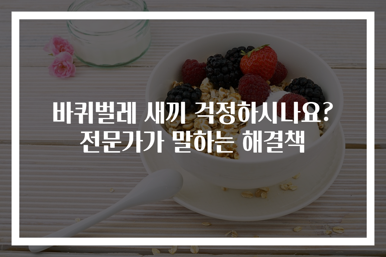 바퀴벌레 새끼 걱정하시나요? 전문가가 말하는 해결책