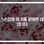 박스손잡이 여기에 붙이면 대박입니다