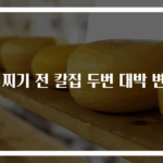 밤 찌기 전 칼집 두번 대박 변화