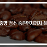 방충망 청소 숨은먼지까지 해결
