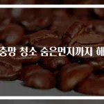 방충망 청소 숨은먼지까지 해결