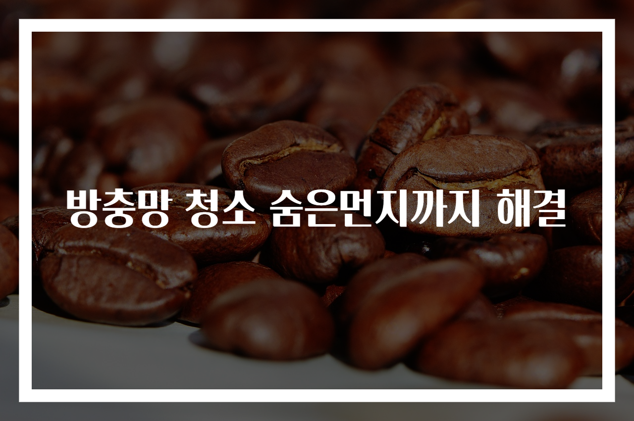 방충망 청소 숨은먼지까지 해결
