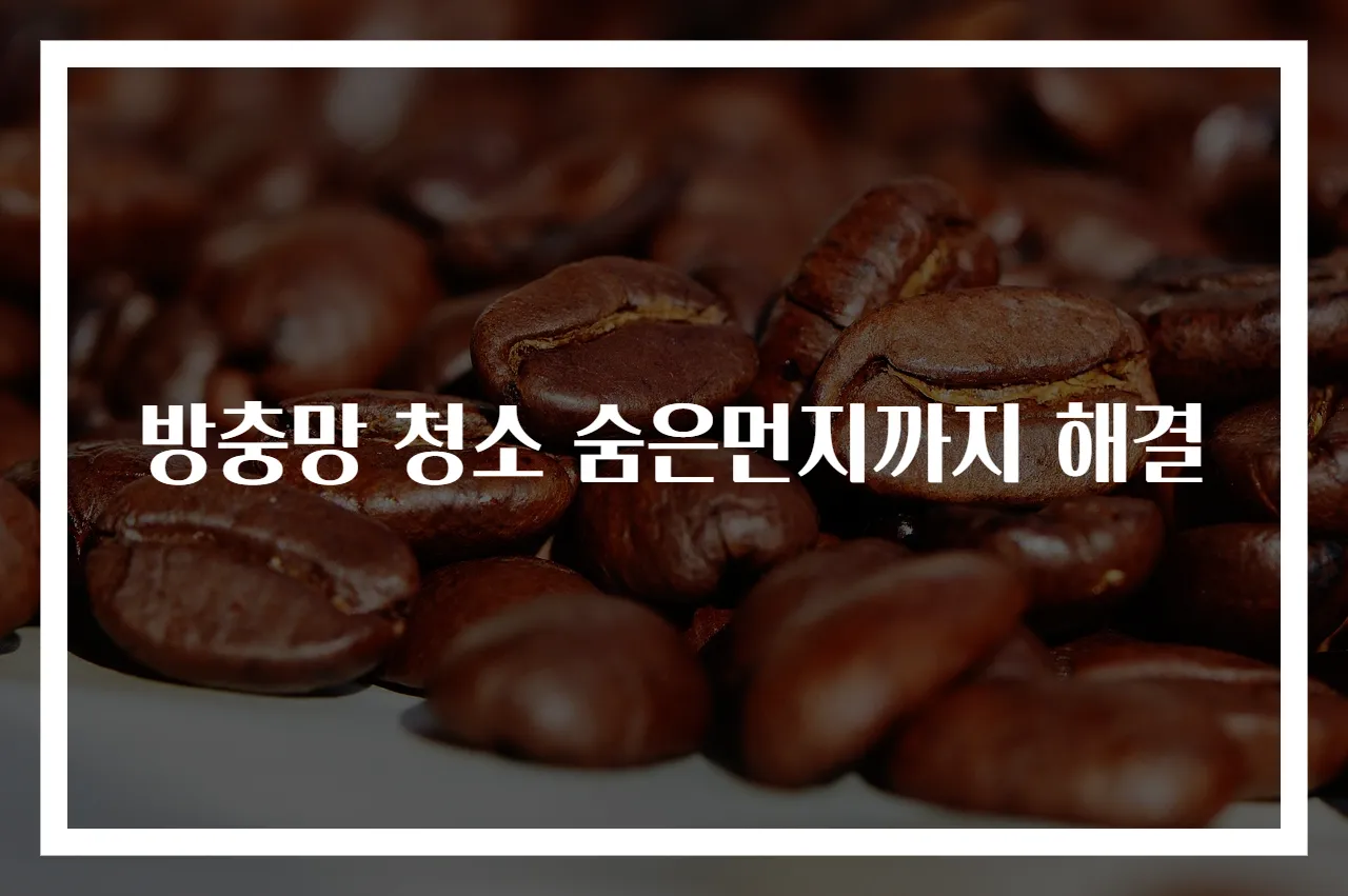 방충망 청소 숨은먼지까지 해결