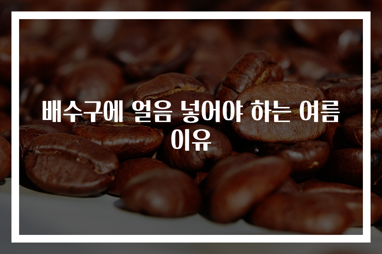 배수구에 얼음 넣어야 하는 여름 이유