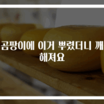 벽곰팡이에 이거 뿌렸더니 깨끗해져요