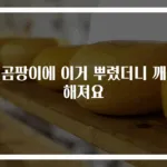 벽곰팡이에 이거 뿌렸더니 깨끗해져요