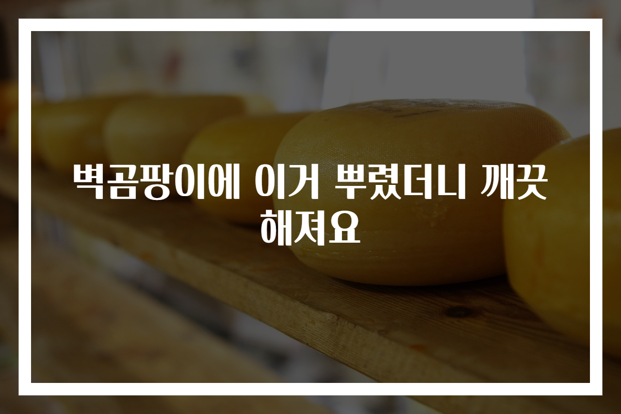 벽곰팡이에 이거 뿌렸더니 깨끗해져요