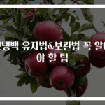보냉백 유지법&보관법 꼭 알아야 할 팁