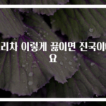 보리차 이렇게 끓이면 진국이에요