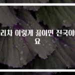 보리차 이렇게 끓이면 진국이에요