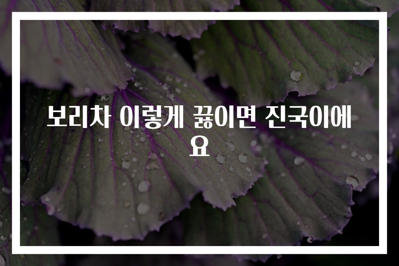 보리차 이렇게 끓이면 진국이에요