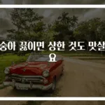 복숭아 끓이면 상한 것도 맛살아요