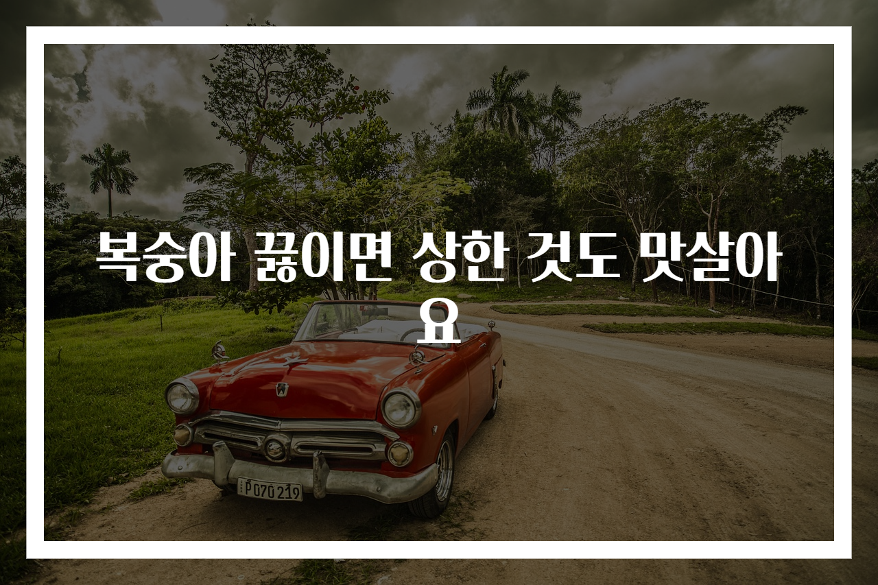 복숭아 끓이면 상한 것도 맛살아요