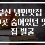 부산 냉면맛집 10곳 숨어있던 맛집 발굴