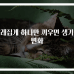 빨래집게 하나만 끼우면 생기는 변화