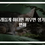 빨래집게 하나만 끼우면 생기는 변화