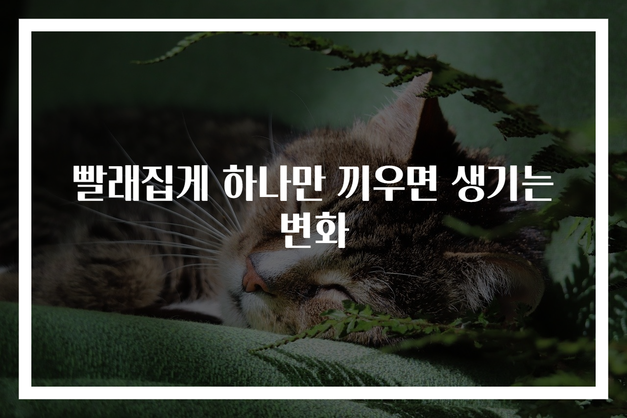 빨래집게 하나만 끼우면 생기는 변화