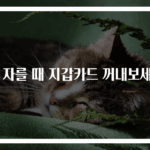 빵 자를 때 지갑카드 꺼내보세요