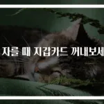 빵 자를 때 지갑카드 꺼내보세요