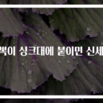 뽁뽁이 싱크대에 붙이면 신세계