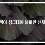 뽁뽁이 싱크대에 붙이면 신세계