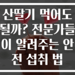 산딸기 먹어도 될까? 전문가들이 알려주는 안전 섭취 법