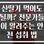 산딸기 먹어도 될까? 전문가들이 알려주는 안전 섭취 법