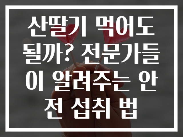 산딸기 먹어도 될까? 전문가들이 알려주는 안전 섭취 법