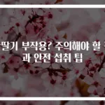 산딸기 부작용? 주의해야 할 점과 안전 섭취 팁