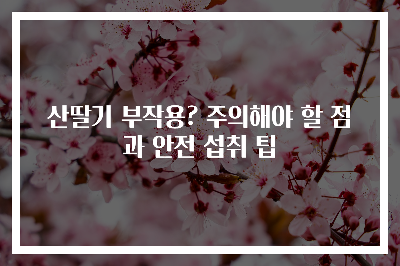 산딸기 부작용? 주의해야 할 점과 안전 섭취 팁