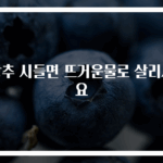 상추 시들면 뜨거운물로 살리세요