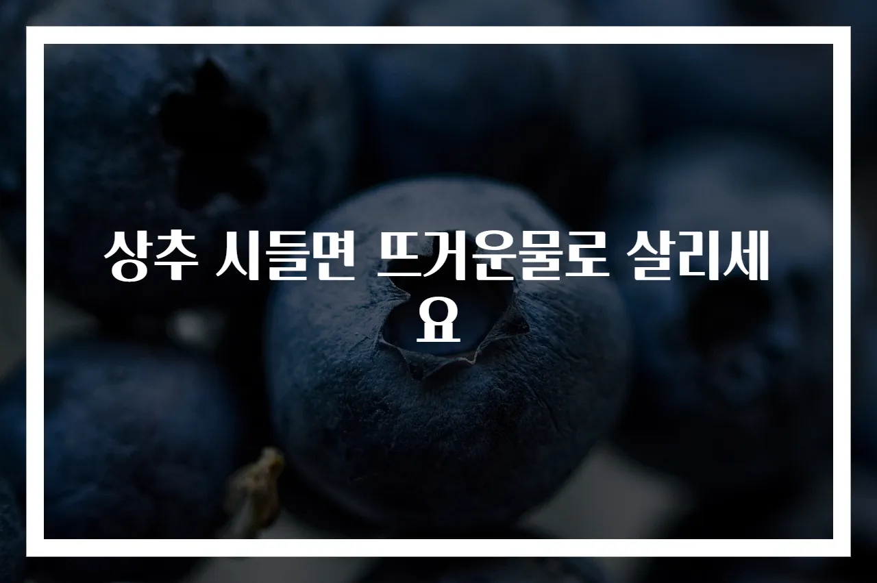 상추 시들면 뜨거운물로 살리세요
