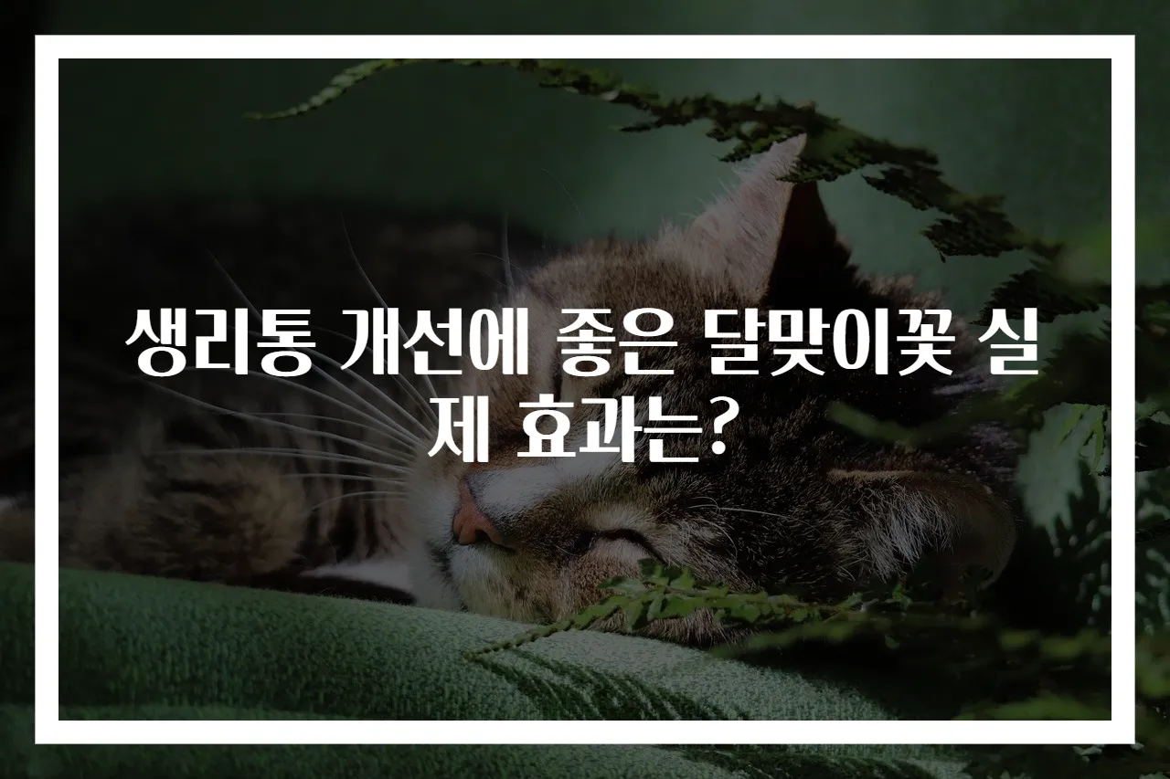 생리통 개선에 좋은 달맞이꽃 실제 효과는?