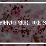 생선비린내 없애는 10초 꿀팁