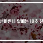 생선비린내 없애는 10초 꿀팁