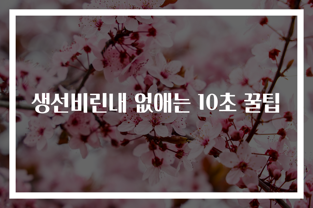 생선비린내 없애는 10초 꿀팁