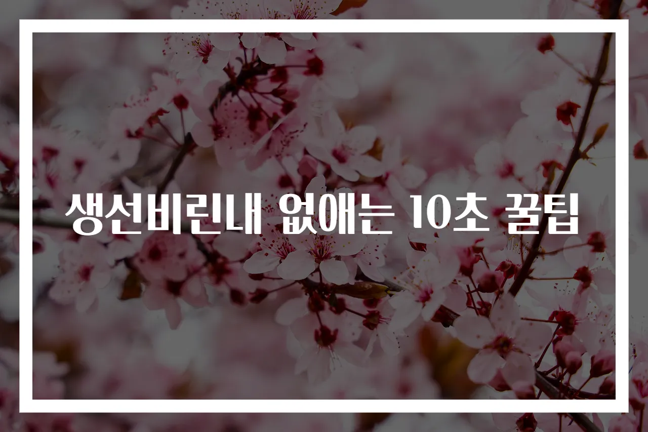 생선비린내 없애는 10초 꿀팁