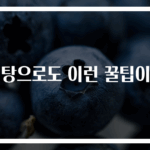 설탕으로도 이런 꿀팁이?!