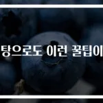 설탕으로도 이런 꿀팁이?!