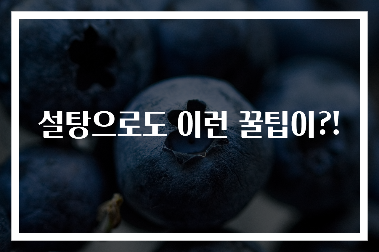 설탕으로도 이런 꿀팁이?!