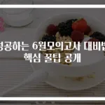 성공하는 6월모의고사 대비법 핵심 꿀팁 공개